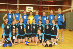 Volleyball