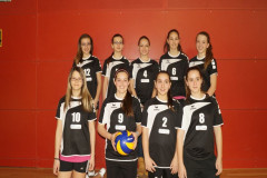 Sektion_Volleyball_5